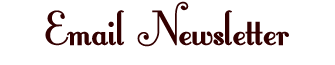 email newsletter